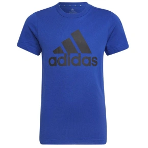 Koszulka adidas Big Logo Tee Jr HP0840