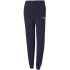 Dziecięce spodnie dresowe teamGoal 23 Casuals Jr 656713 06 - Puma