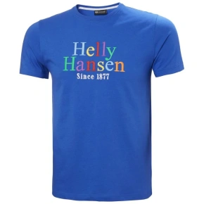 Koszulka Helly Hansen Core Graphit T M 53936 543 Koszulka Helly Hansen Core Graphit T M 53936 543