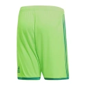 Męskie spodenki Regista 18 Short M CF9598 - Adidas