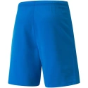 Męskie spodenki teamRISE Short M 704942 02 - Puma