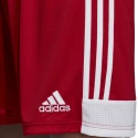 Męskie spodenki Tastigo 19 DP3681 - Adidas