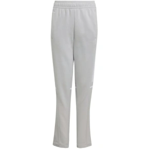 Spodnie adidas Squadra 25 Sweat Jr JD4823