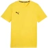 Koszulka Puma Team Goal Casuals Tee M 658615 07 pánské