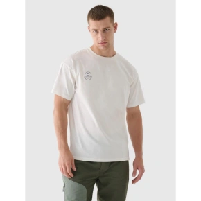 T-shirt oversize gładki uniseks 4F 4FRAW24TTSHU2672-12S