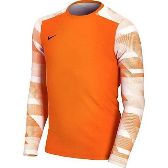 Dziecięca bluza bramkarska Dry Park IV JSY LS JR CJ6072-819 - Nike