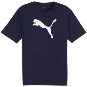 Koszulka Puma Team Rise Logo Jersey Cotton M 658705 06 pánské