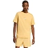 Koszulka męska adidas Essentials Small Logo Single Jersey żółta KT0561 pánské