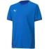 Koszulka Puma teamGOAL 23 Jersey Jr 704160 02
