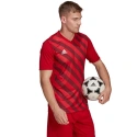 Męska koszulka Entrada 22 Graphic Jersey M HB0572 - Adidas