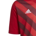 Koszulka dziecięca Entrada 22 Graphic Jersey Jr H58983 - Adidas