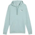 Bluza Puma Ess 2 Color Small No.1 Logo Hoodie TR M 684719 67 pánské