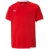 Koszulka Puma teamLIGA Jersey Jr 704925 01
