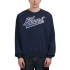 Karl Kani bluza Varsity Print Os Crewneck PD00007519 pánské