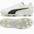Buty Puma KING 20 MATCH TT 108461-01