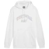 Bluza Puma Ess+ Logo LAB Gradient Hoodie FL M 681775 02 pánské