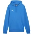 Bluza Puma Team Goal Casuals Hoody M 658618 02 pánské