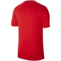 Męska koszulka Dri-FIT Park M CW6936-657 - Nike