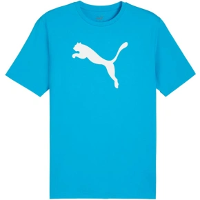 Koszulka Puma Team Rise Logo Jersey Cotton M 658705 02 pánské