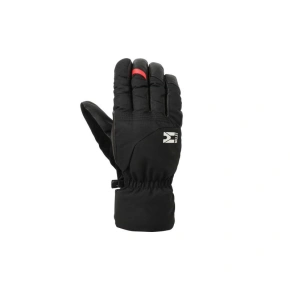 Rękawice MILLET M Telluride Glove Czarny Rękawice MILLET M Telluride Glove Czarny