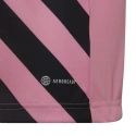 Entrada 22 Graphic Jersey Jr HC2632 - Adidas