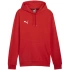 Bluza Puma Team Goal Casuals Hoody M 658618 01 pánské