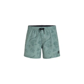 Szorty kąpielowe O'Neill Mix&Match Cali Print 15'' M 92800613869 Szorty kąpielowe O'Neill Mix&Match Cali Print 15'' M 92800613869