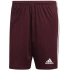 Męskie spodenki Squadra 21 Short M GN8083 - Adidas