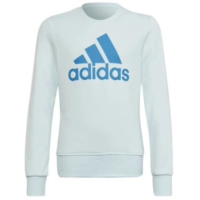 Bluza dziecięca Big Logo Swt Jr HM8707 - Adidas