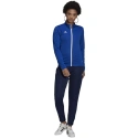 Damskie buty Entrada 22 Track W HG6293 - Adidas