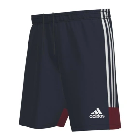 Męskie spodenki Tastigo 19 M FI6355 - Adidas