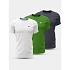 T-shirt męski (ZESTAW KOSZULEK 3 SZT.) 4F 4FWSS26TTSHM4216-90S