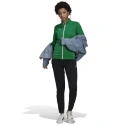 Damskie buty Entrada 22 Track W HI2136 - Adidas