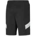 Męskie spodenki Ferrari Race Track Shorts M 599828-01 - Puma