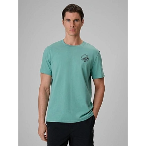 T-shirt relaxed z nadrukiem męski 4F 4FRSS26TTSHM4296-47S