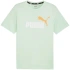 Koszulka Puma ESS+ 2 Col Logo Tee M 586759 88 pánské