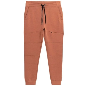 Spodnie 4F M 4FSS23TTROM152brąz Spodnie 4F M 4FSS23TTROM152brąz