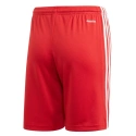 Spodenki młodzieżowe Squadra 21 GN5761 - Adidas