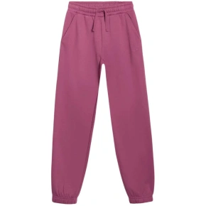 Spodnie 4F CAS F1249 Jr 4FJWAW25TTROF1249 50S Spodnie 4F CAS F1249 Jr 4FJWAW25TTROF1249 50S