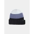 Czapka męska zimowa beanie 4F 4FWAW25ACAPM629-20S pánské
