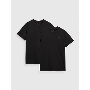 T-shirt męski (ZESTAW KOSZULEK 2 SZT.) 4F 4FRMM00TTSHM2705-20S