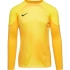 Męska koszulka bramkarska Gardien IV JSY M DH7967 719 - Nike