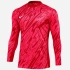 Bluza Nike Gardien V Goalkeeper DF V M FD7474-644