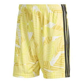 Spodenki bramkarskie adidas Tiro 26 Competition KC5347 Spodenki bramkarskie adidas Tiro 26 Competition KC5347