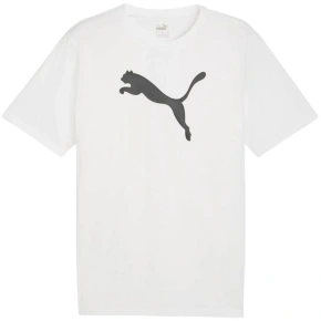 Koszulka Puma Team Rise Logo Jersey Cotton M 658705 04 pánské Koszulka Puma Team Rise Logo Jersey Cotton M 658705 04 pánské