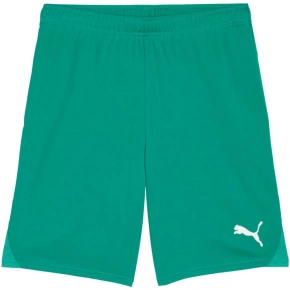 Spodenki męskie Puma Team Goal zielone 705752 05