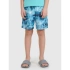 Spodenki plażowe boardshorty chłopięce 4F 4FJWSS25UBDSM118-90A