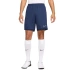Spodenki Nike Dri-Fit Academy 25 M FZ9776 410