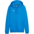 Bluza Puma Team Goal Casuals Hoody W 658621 02