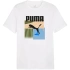 Koszulka Puma Graphics Summer Sports Tee II M 627909 02 pánské